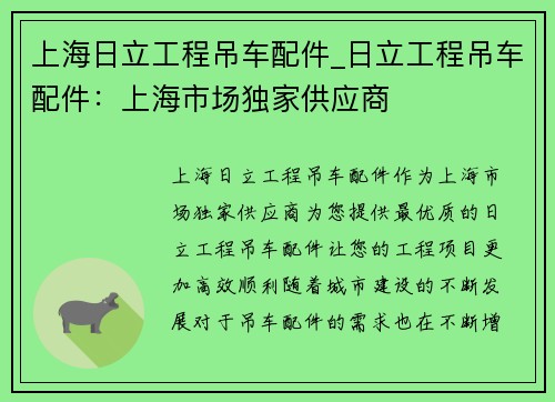 上海日立工程吊车配件_日立工程吊车配件:上海市场独家供应商