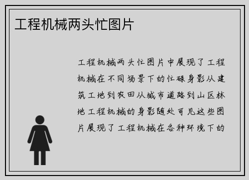 工程机械两头忙图片